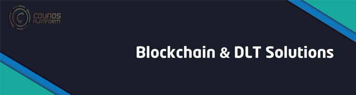 Blockchain Integrated DLT