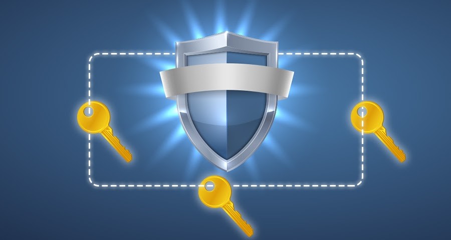 Therefore, requiring more than one private key to open up, a MultiSig wallet offers a variety of applications, mostly related to security.
