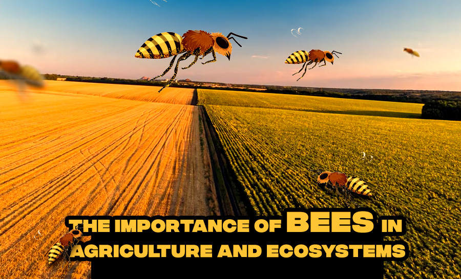 Foraging and Pollination: The Importance of Bees in Agriculture and Ecosystems