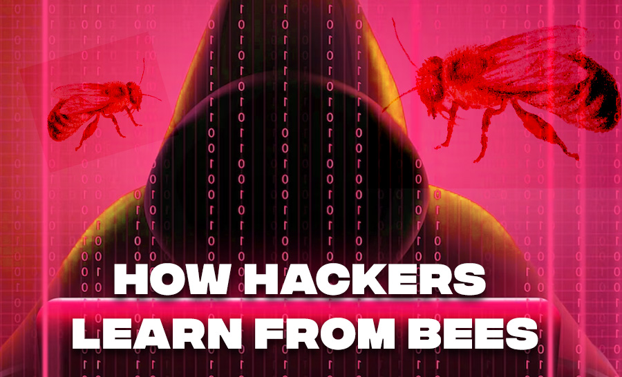 The Dark Side: How Hackers Learn from Bees