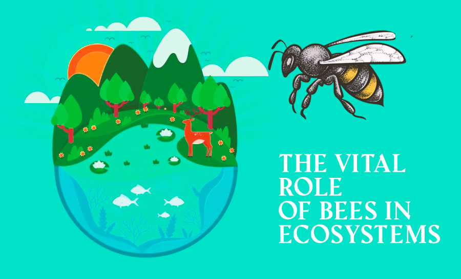 The Vital Role of Bees in Ecosystems and Human Life