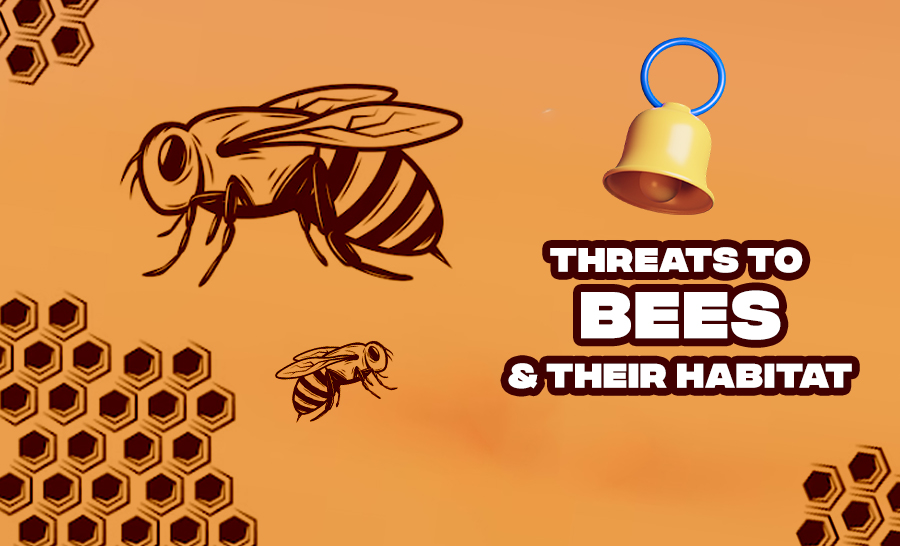 Threats to Bees and Their Habitat: The Importance of Protecting Bees
